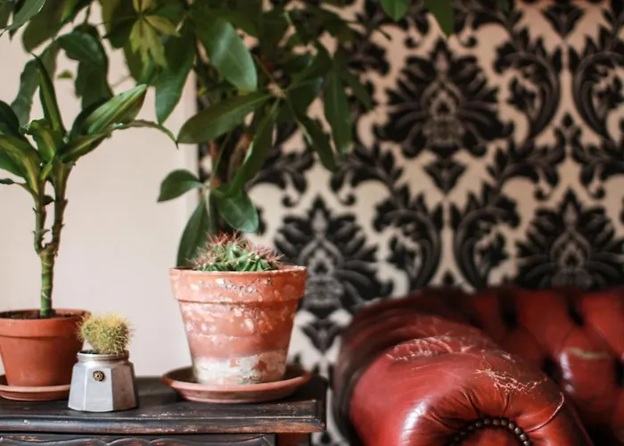 Coliving Trastevere