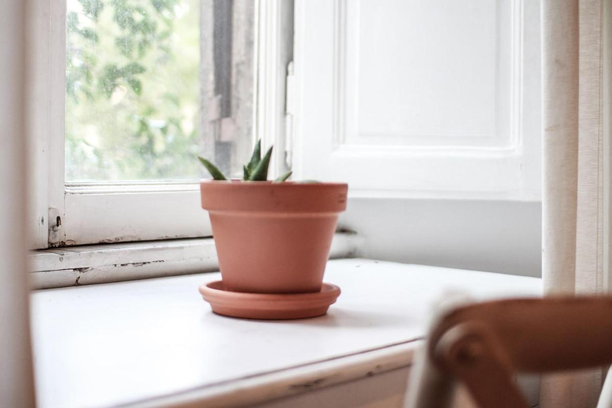 Homestay Coliving Trastevere *